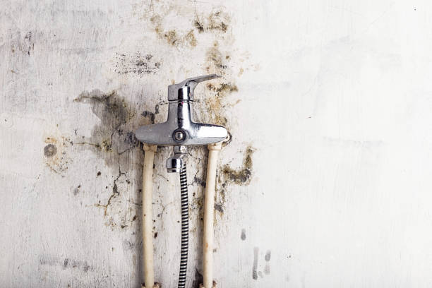 Best Mold Remediation for Schools in Fairview, CA